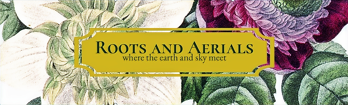 Roots and Aerials