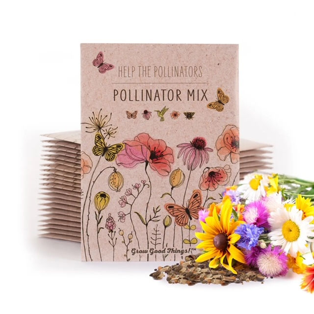 Wildflower Seeds