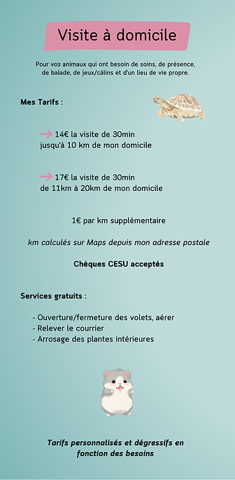 Tarifs Visites.png