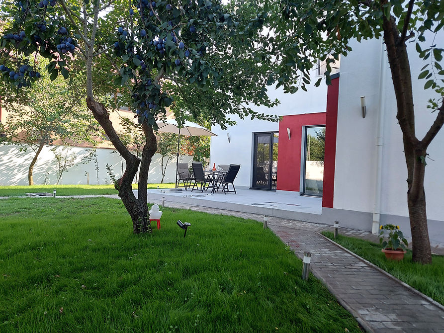 20220726_174540.jpg
