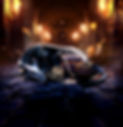 TRYO_Fantastical_Camp_Web BG.jpg