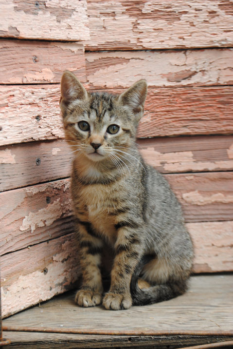 10-18-2021 2667 NANCY.JPG