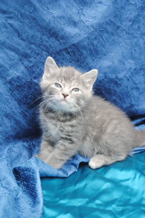 05-28-2022 2847 WENDY.JPG