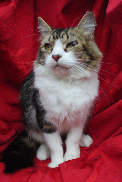 11-28-2021 #2679 Ashley.JPG