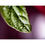Thumbnail: Water drop on leaf