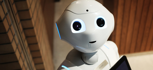 Robot