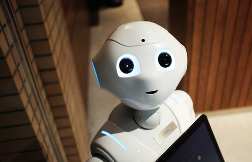 Robot