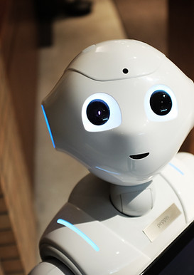 Robot