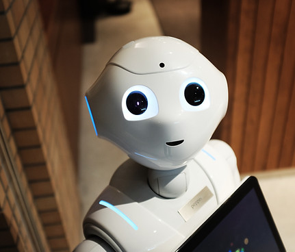 Robot