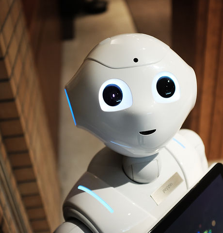 Robot