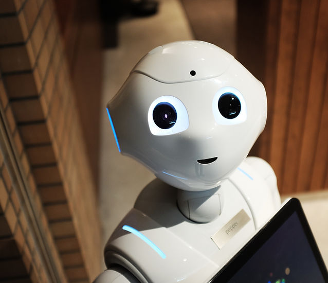 Robot