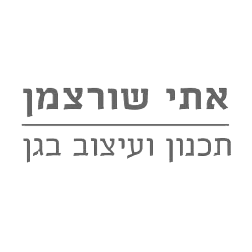 אתי שוורצמן