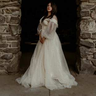 Star and moon gown, star and moon dress, plus size dress, dress rental, plus size dress rental, dress rental, gown rental, celestial dress