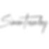 simon townley logo