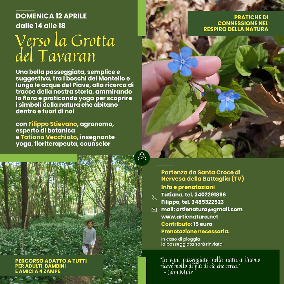 Verso la Grotta del Tavaran, passeggiata di connessione nella natura, lungo il Piave tra echi di storia