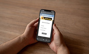 BMONT_Ballot_CVP_MockUp_Mobile.jpg
