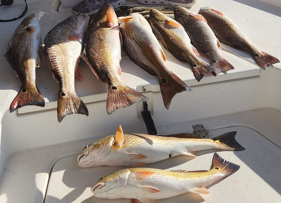 Redfish on deck