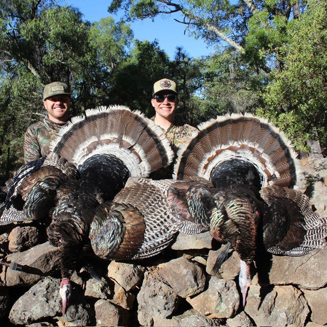 turkey pair.jpg