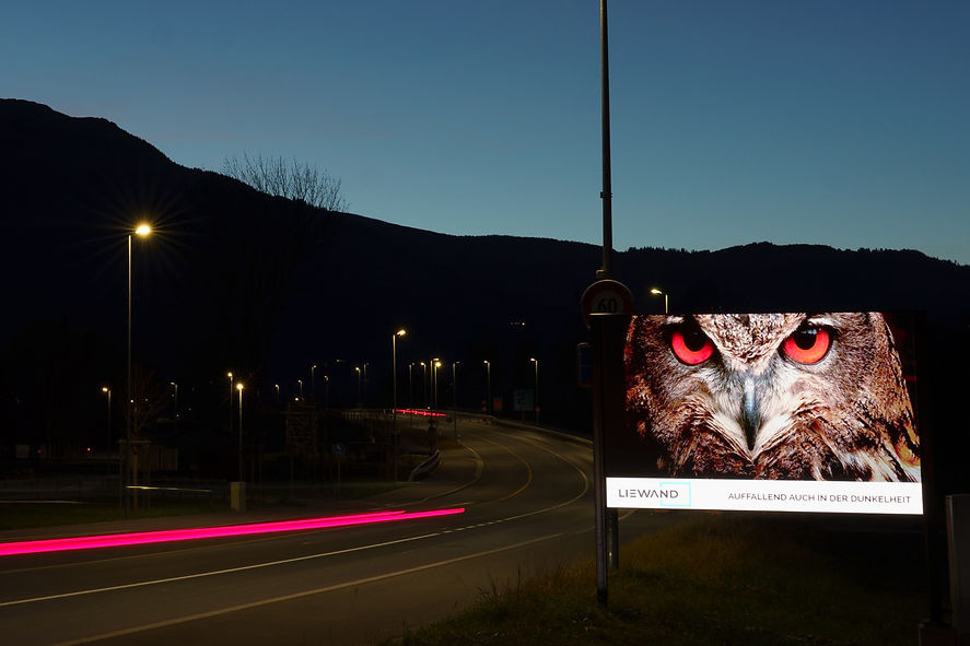 LIEWAND NightOWL.jpeg