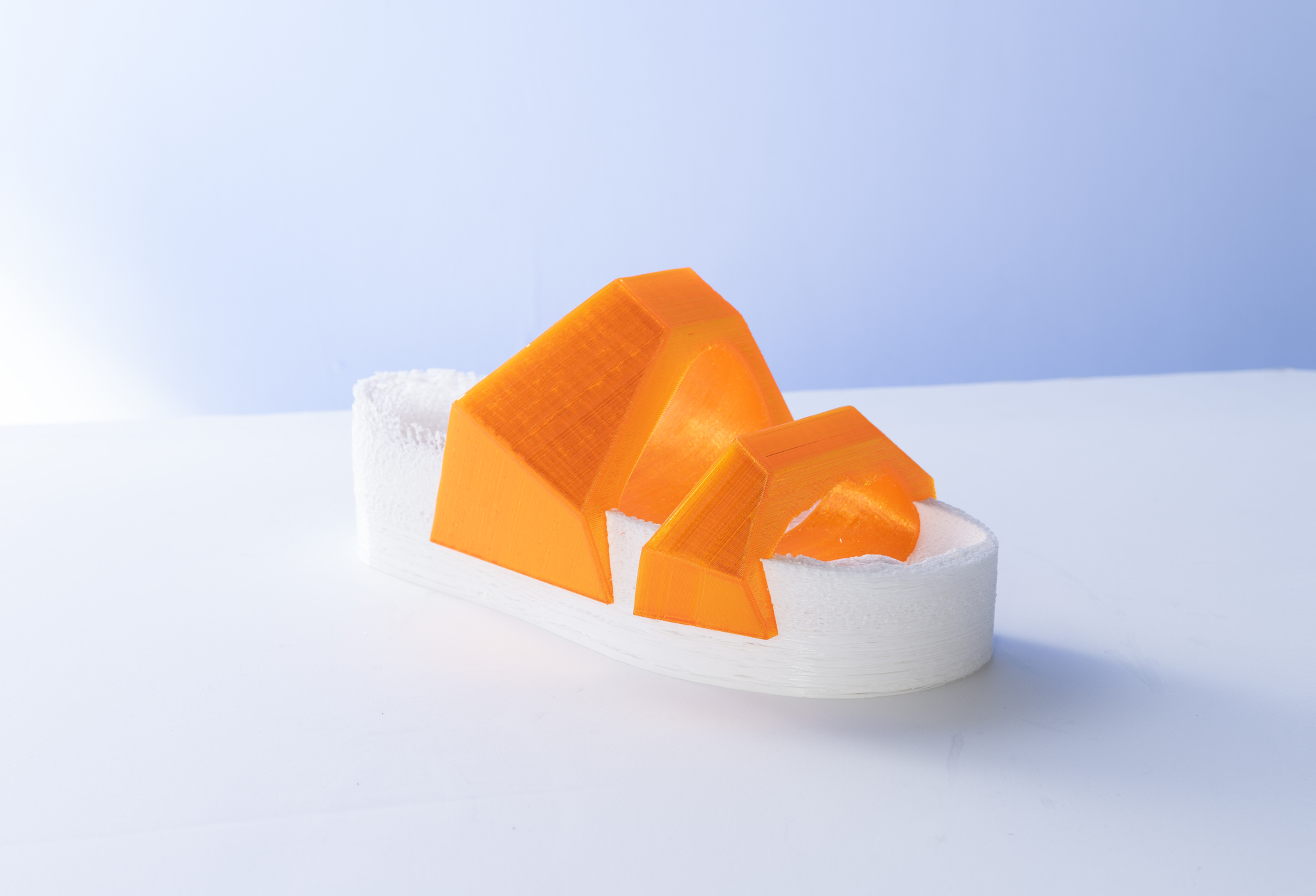 CoShoes