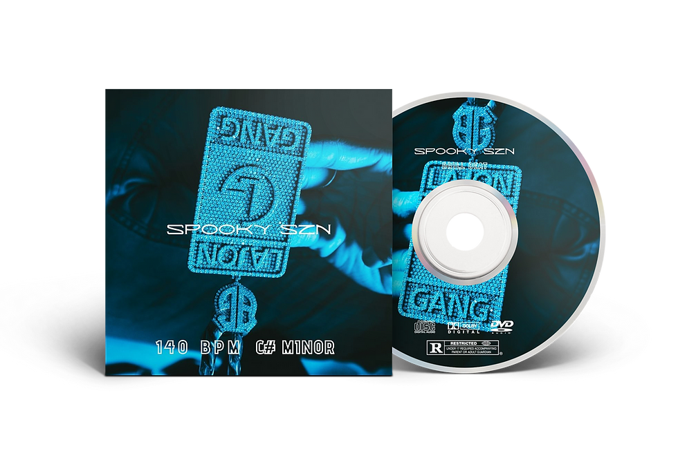 Thumbnail: 💿The Platinum Beat Pack Vol I [FULL STEMS + WAV Version]