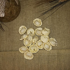Tortellini / Cappelletti