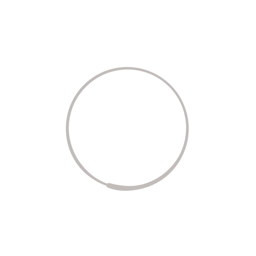 Idea-500x500.gif