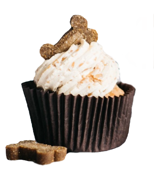 Peanutty Pumpkin Pupcake