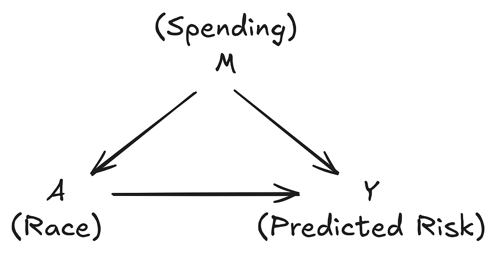 DAG representing the causal relationship between variables
