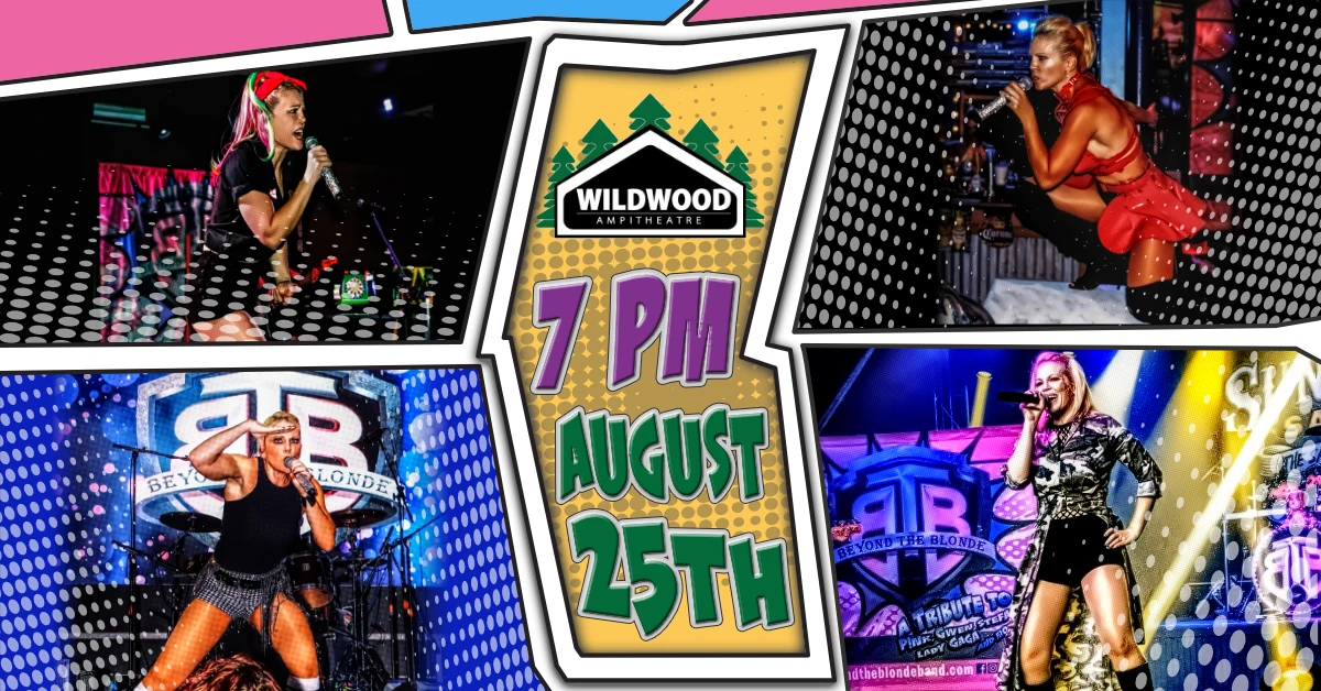 Volume 31: WildWood Ampitheater - Michigan Weekend Getaway