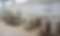SG Fill Plant 8.png