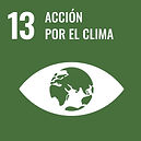 Cumplimos con el ODS 13 acción por el clima