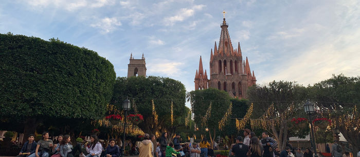 The Gentle Detective: A Photo Essay