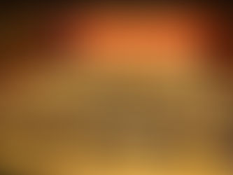 UN Council Condemns Israel in Two Resolutions