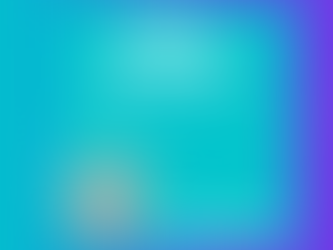 UN Geneva: Summer of Solutions