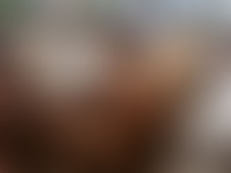 ‘Regional security and integration’ in Central Africa under threat, Security Council warned