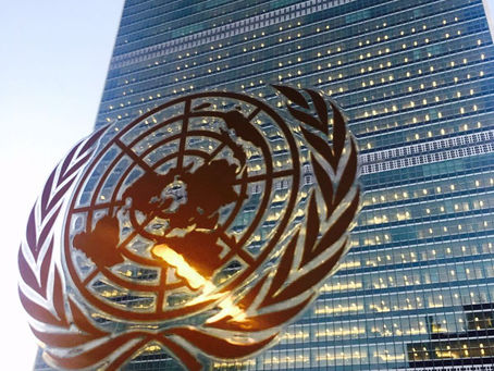 Junior Professional Officer Programme