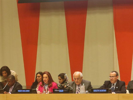 Contribution of the Group of 77 and China to the efforts of ONU