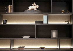 Cairnhill Crest_Display Shelf.jpg