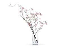 Palettehomes_JP BOHEMIAN CRYSTAL VASE