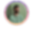 IMG_4954.PNG