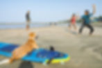 Surf lesson on the beach