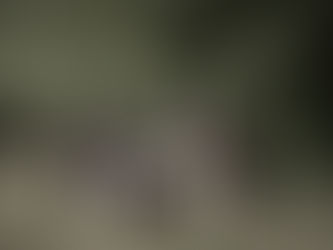 Deel 6 - Een fotoshoot en tijd om uit te vliegen!