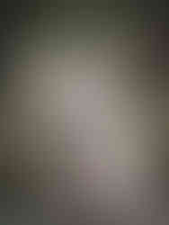 Portretfoto van tamaskan puppy