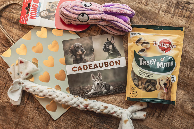 Cadeaubon voor een puppy fotoshoot