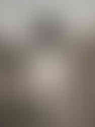 Border Collie puppy op de paarse heide