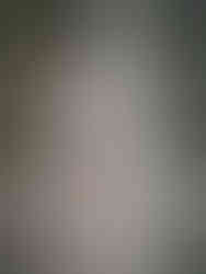 Portretfoto van de hond Tamaskan Unn