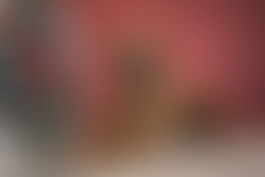 Foto's in Kerstsfeer en de opening van mijn fotostudio