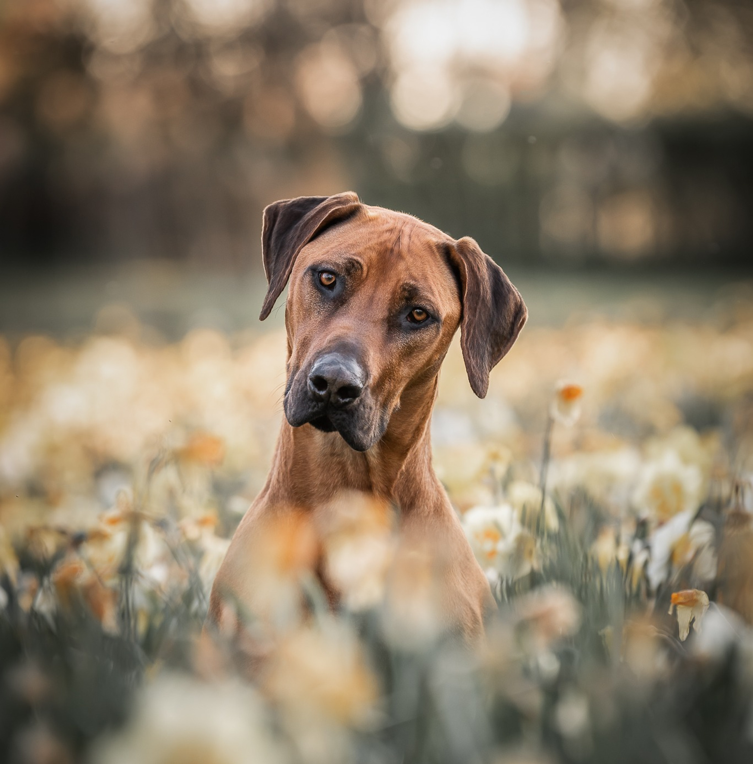 Masterclass Fotografie | Pixie Photography
