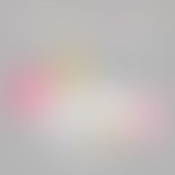 Délicieuse année 2020 !